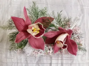 Burgundy Cymbidium Orchid Wrist Corsage and Boutonniere